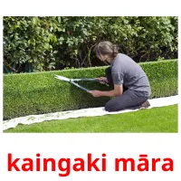 kaingaki māra picture flashcards