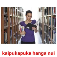 kaipukapuka hanga nui picture flashcards