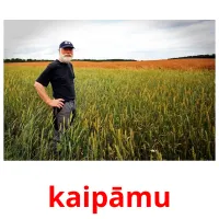 kaipāmu picture flashcards