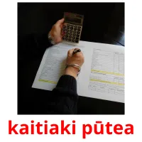 kaitiaki pūtea picture flashcards