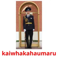 kaiwhakahaumaru picture flashcards