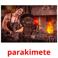 parakimete picture flashcards