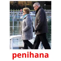 penihana picture flashcards