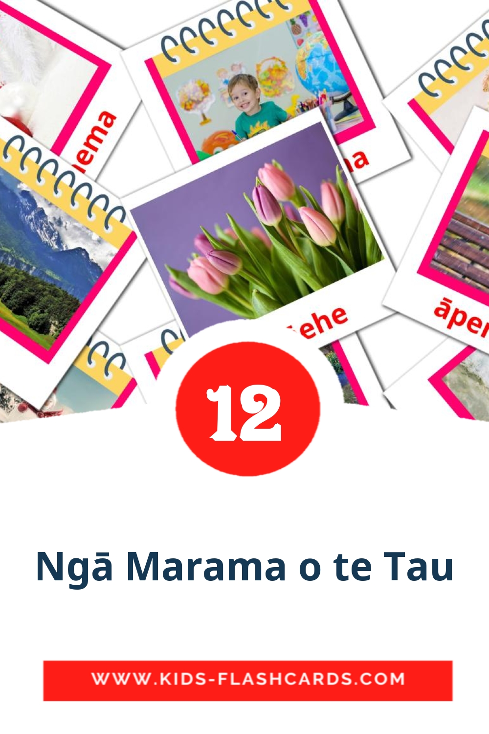 12 Cartões com Imagens de Ngā Marama o te Tau para Jardim de Infância em maori
