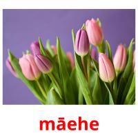 māehe cartões com imagens