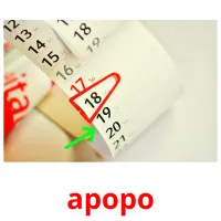 apopo picture flashcards