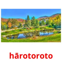 hārotoroto picture flashcards