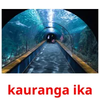 kauranga ika picture flashcards