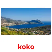 koko picture flashcards