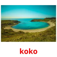 koko picture flashcards