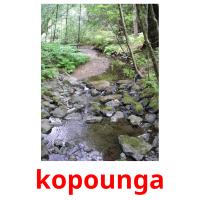 kopounga picture flashcards