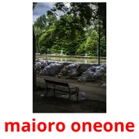 maioro oneone picture flashcards