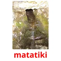 matatiki picture flashcards