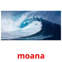 moana picture flashcards