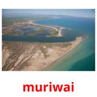 muriwai picture flashcards