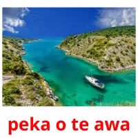 peka o te awa picture flashcards