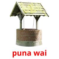 puna wai picture flashcards
