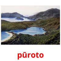 pūroto picture flashcards