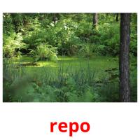 repo picture flashcards