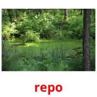 repo picture flashcards