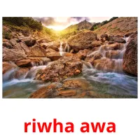 riwha awa picture flashcards