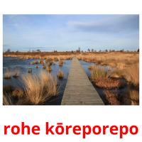 rohe kōreporepo picture flashcards
