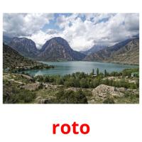 roto picture flashcards