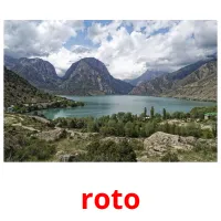 roto picture flashcards