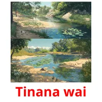 Tinana wai picture flashcards