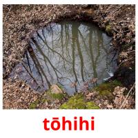 tōhihi Tarjetas didacticas