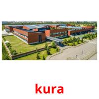 kura picture flashcards