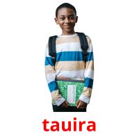 tauira picture flashcards