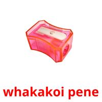 whakakoi pene picture flashcards