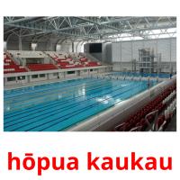 hōpua kaukau card for translate
