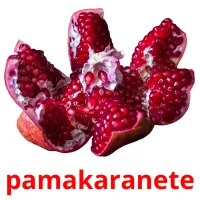 pamakaranete flashcards illustrate