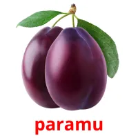 paramu flashcards illustrate