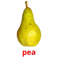 pea flashcards illustrate