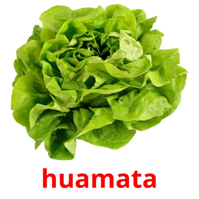 huamata picture flashcards