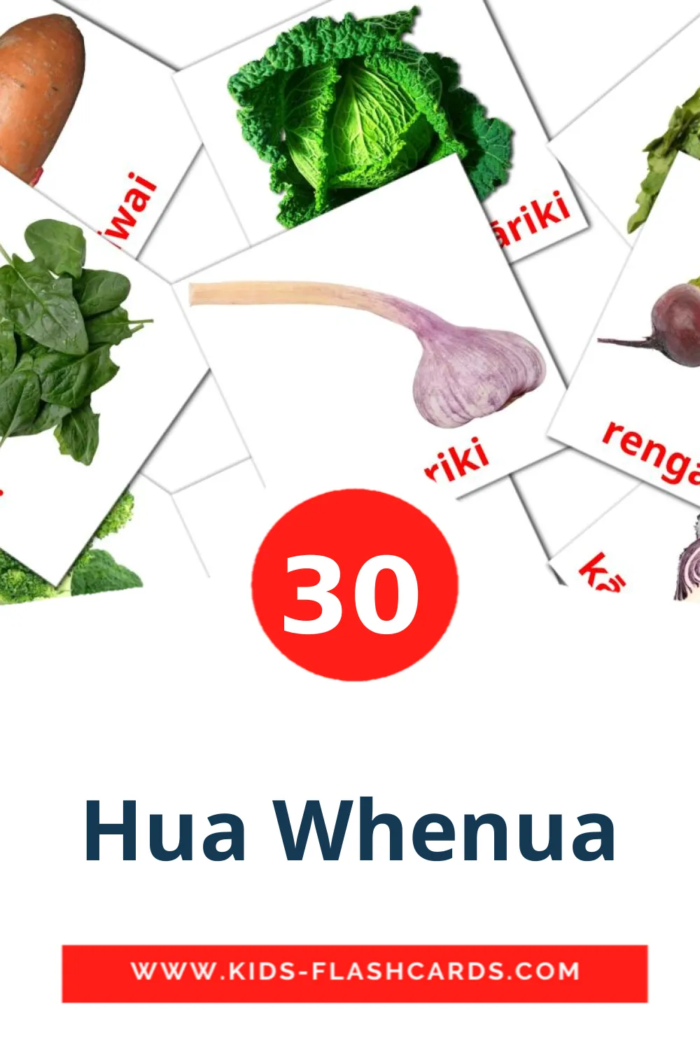 30 carte illustrate di Hua Whenua per la scuola materna in maori