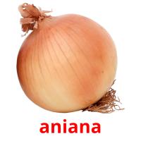 aniana picture flashcards