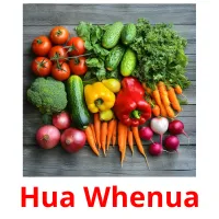 Hua Whenua flashcards illustrate