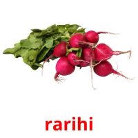 rarihi flashcards illustrate