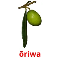 ōriwa flashcards illustrate