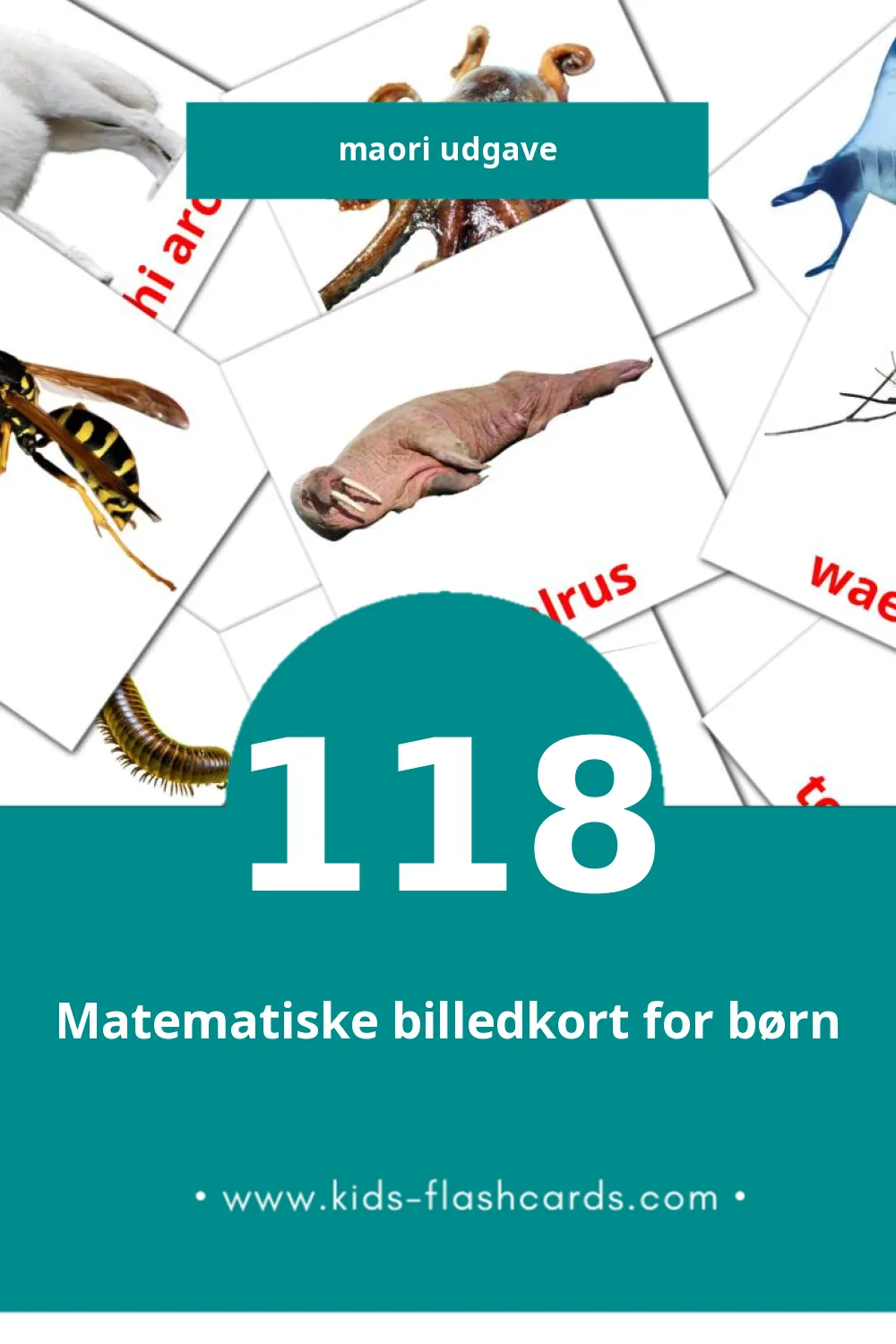 Visuelle billedkort for børn om Kararehe til småbørn (118 kort på Maori)