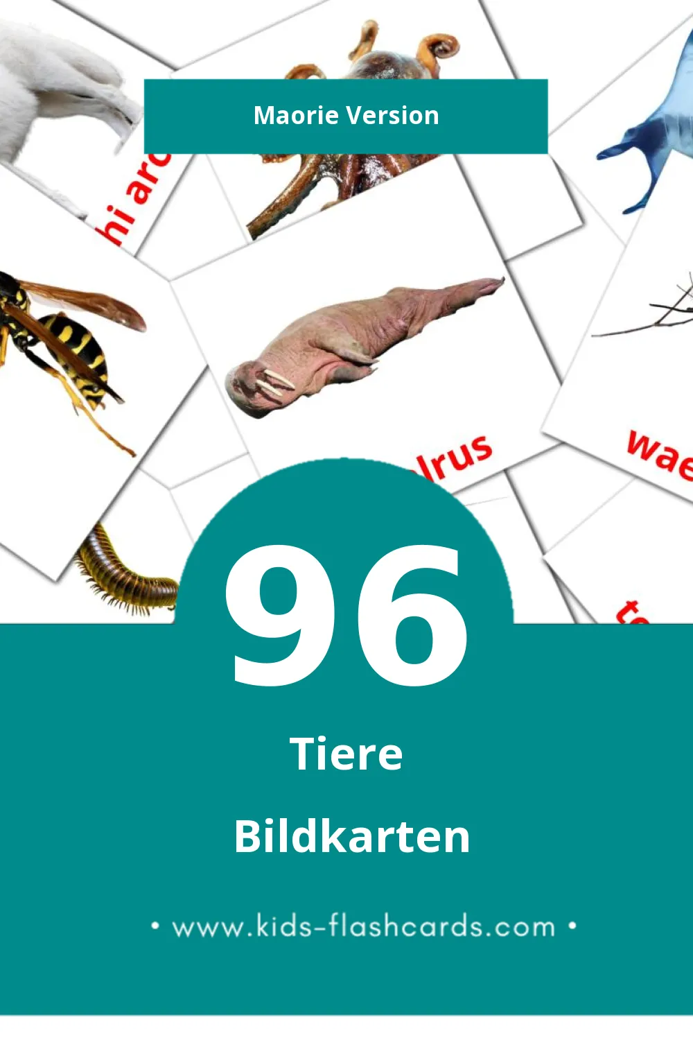 Visual Kararehe Flashcards für Kleinkinder (96 Karten in Maori)