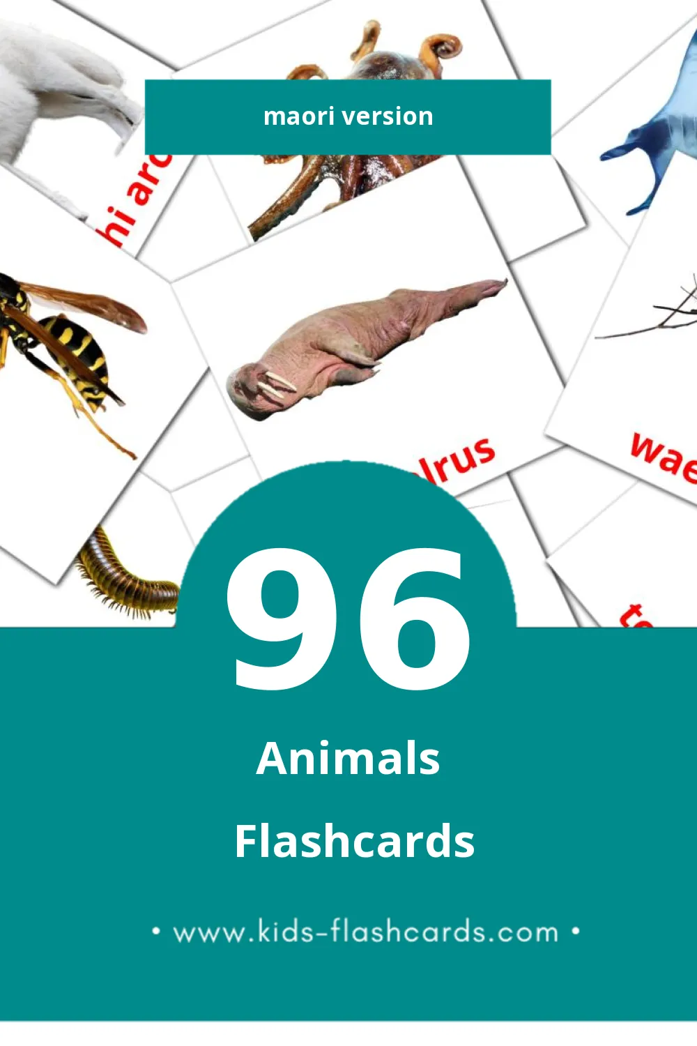 Visual Kararehe Flashcards for Toddlers (96 cards in Maori)