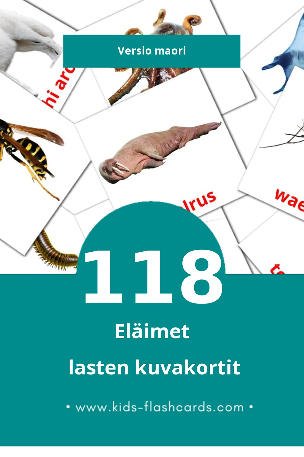 Kararehe lasten kuvakortit pikkulapsille (118 korttia Maoriksi)