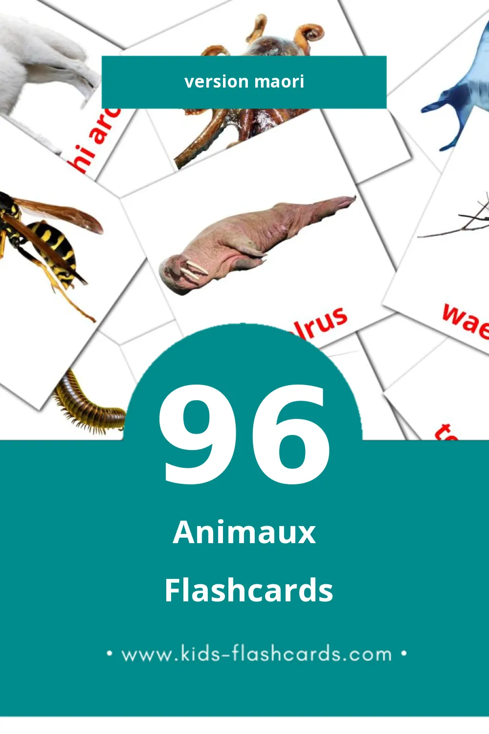 Flashcards Visual Kararehe pour les tout-petits (96 cartes en Maori)