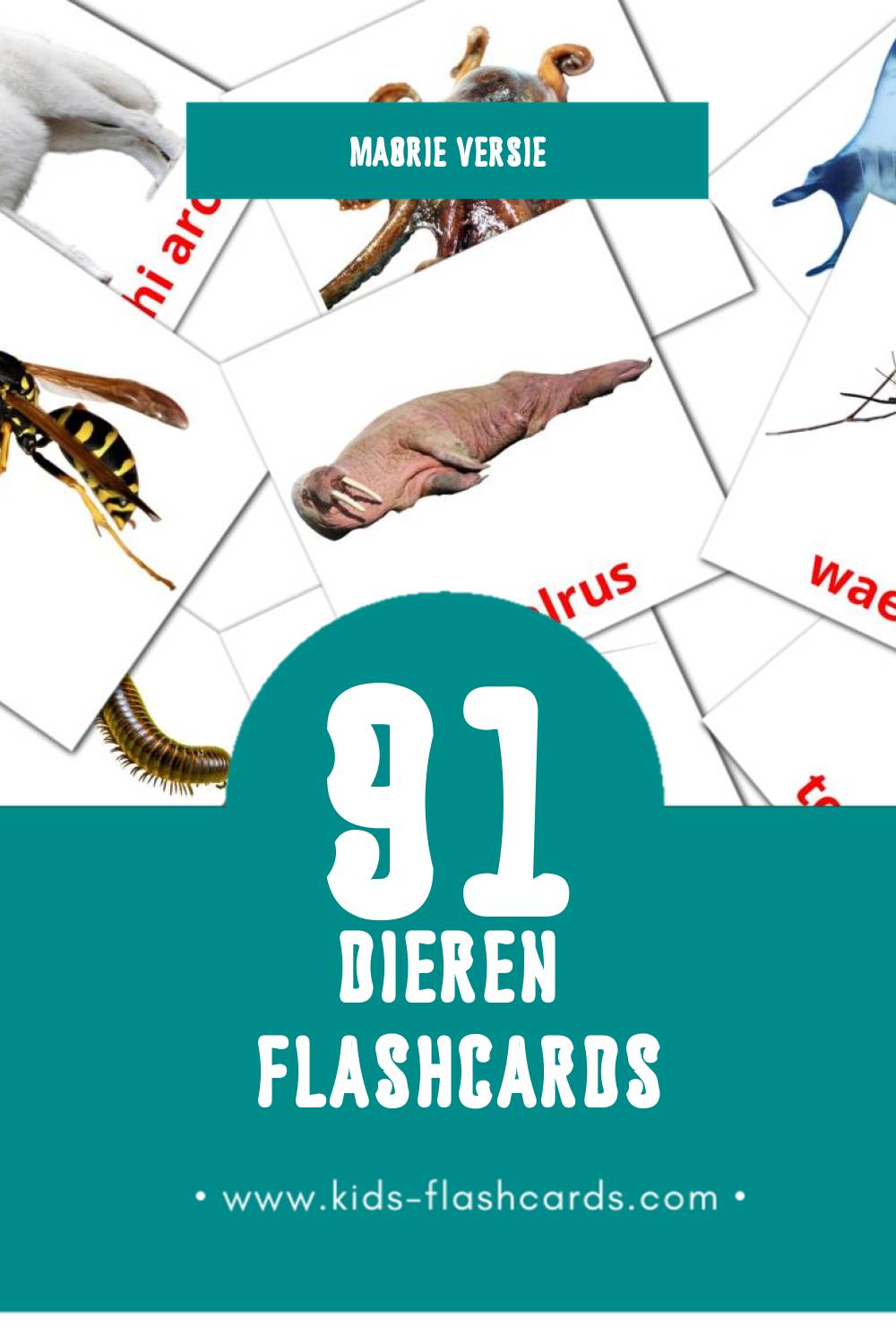 Visuele Kararehe Flashcards voor Kleuters (91 kaarten in het Maori)
