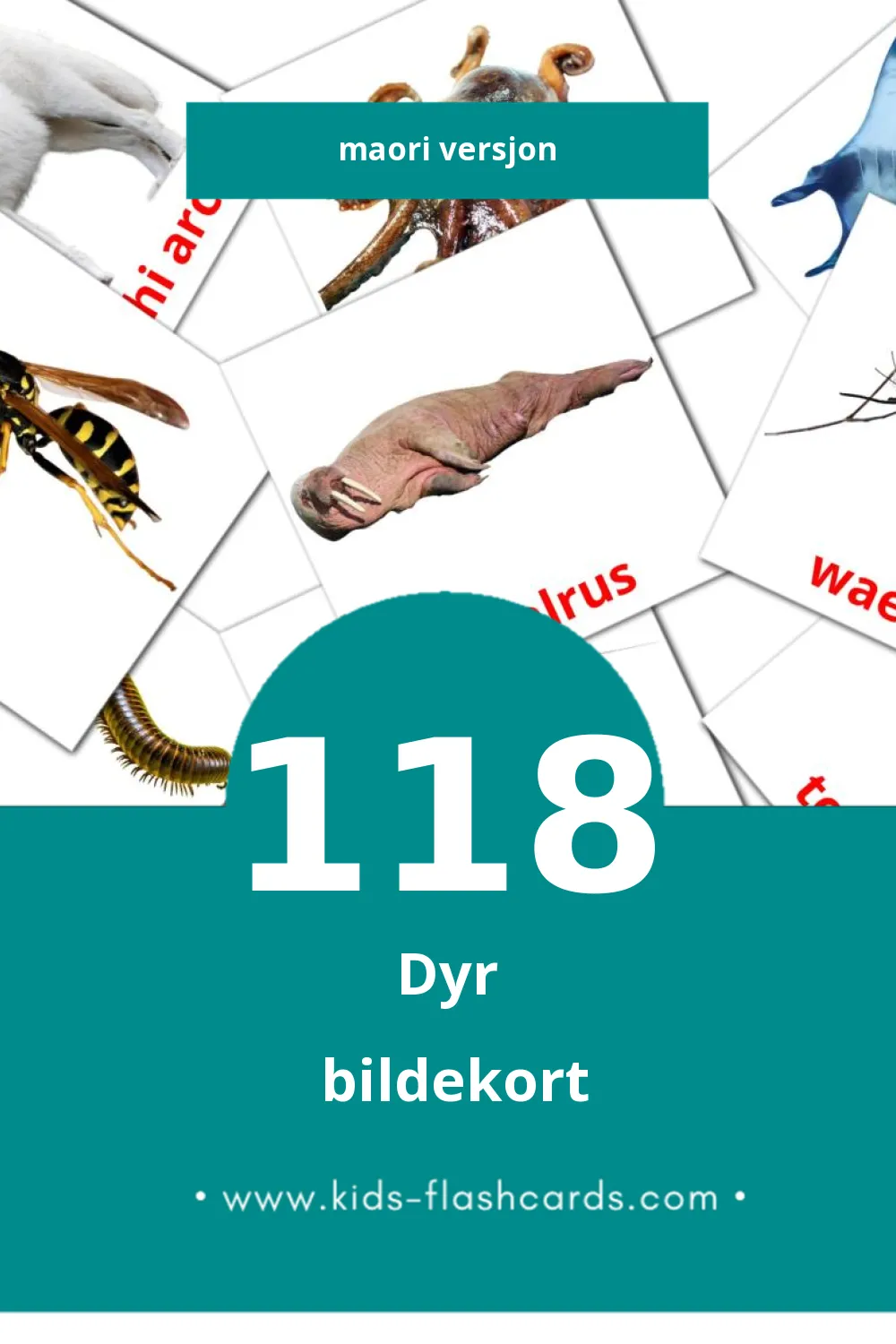Visuelle Kararehe bildekort for småbarn (118 kort på Maori)